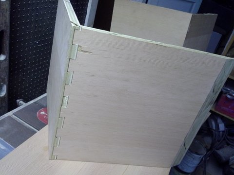 dovetail back side showing grain tearout (oops!)