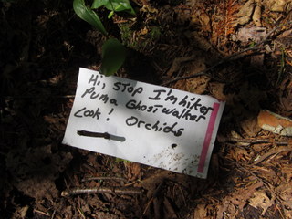 Puma Ghostwalker left this helpful note in case you missed the orchids