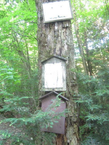 mysterious signs, portending nothing